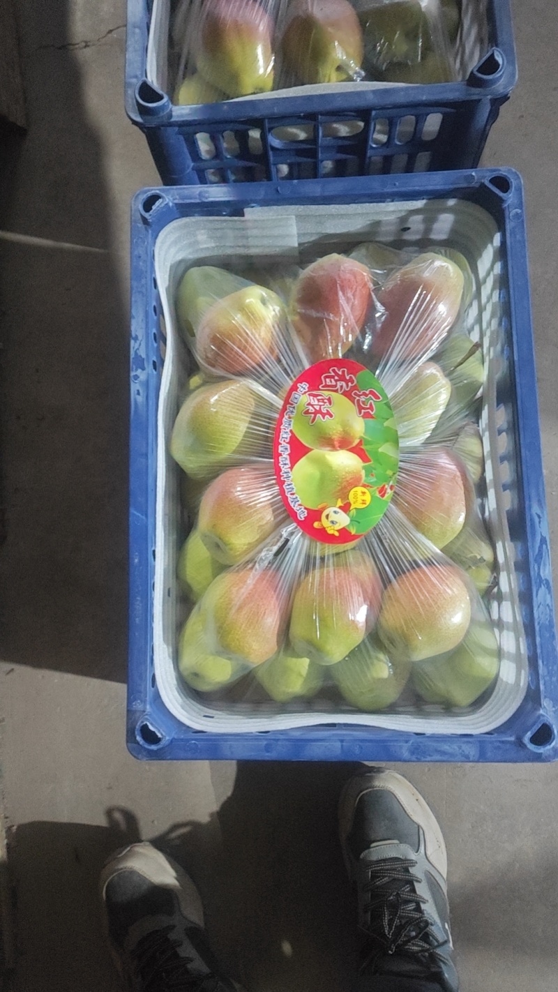 优质红香酥运城龙居红香酥无黑心无起泡
