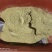 河北赵县润栢梨花粉