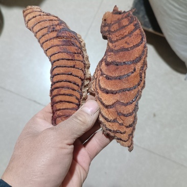 野生鸡血藤年份老藤大片