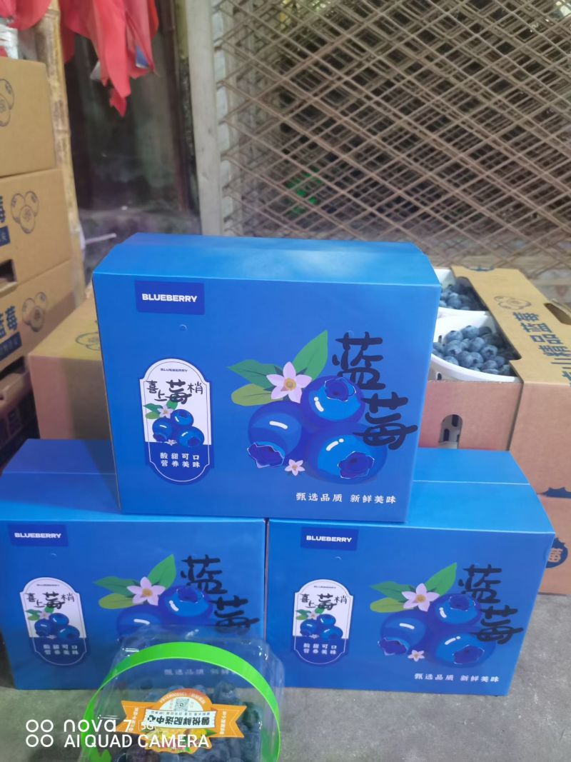 正宗L25花香蓝莓纯甜口感