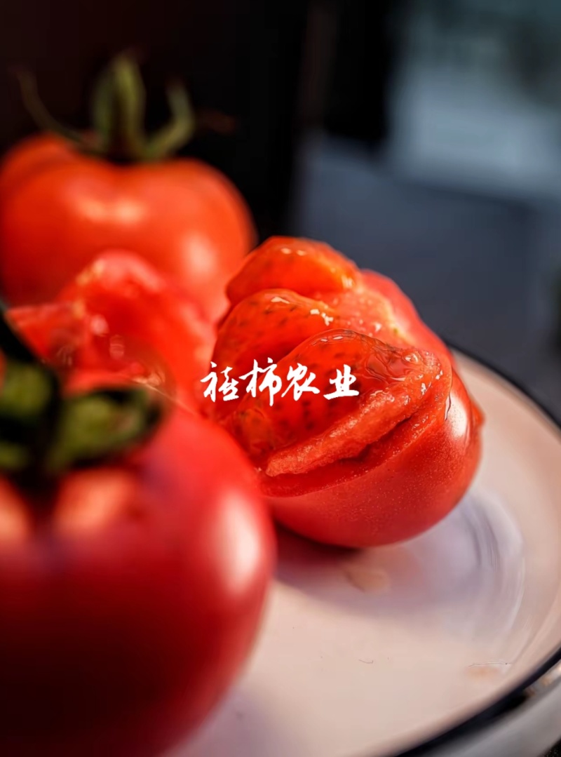 寿光现摘现发口感番茄，欢迎来实地考察