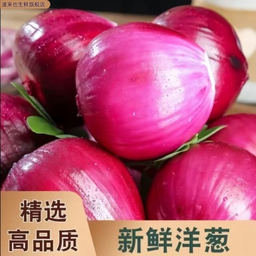 云南紫皮洋葱，农民产地直销，品质小葱，可发云聚物流