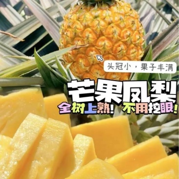 海南芒果凤梨一件代发产地直发一手货源对接各大电商平台