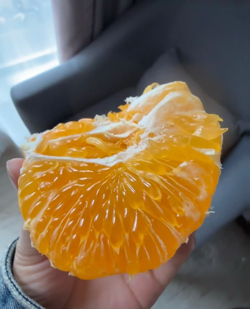 大雅耙耙柑4万斤硬度好口感好个头均匀
