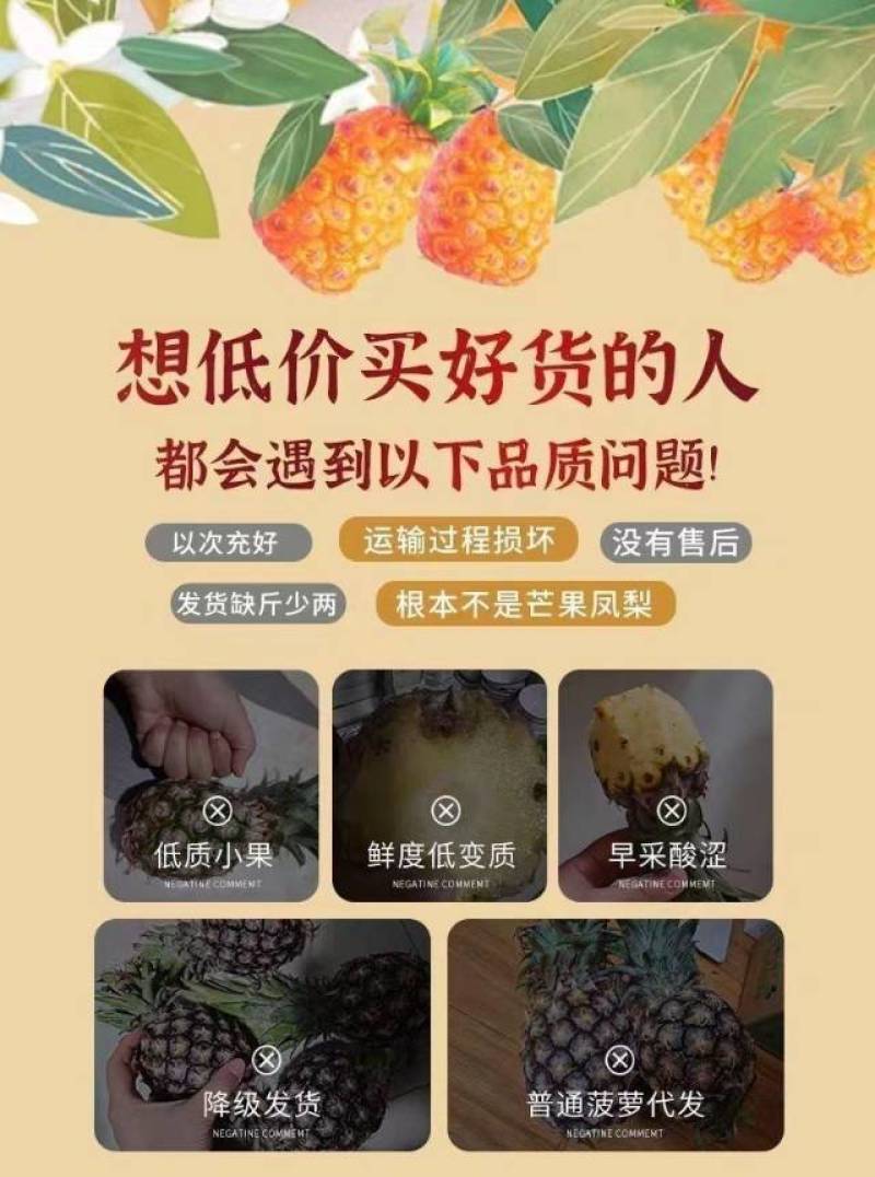 海南芒果凤梨一件代发产地直发一手货源对接各大电商平台