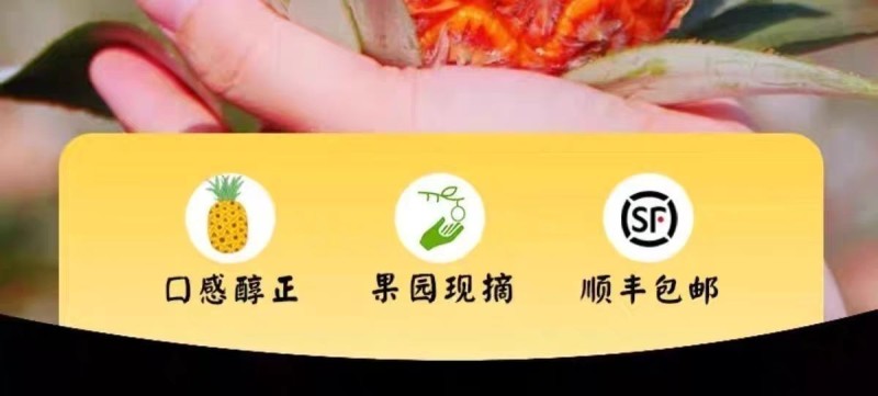 海南芒果凤梨一件代发产地直发一手货源对接各大电商平台