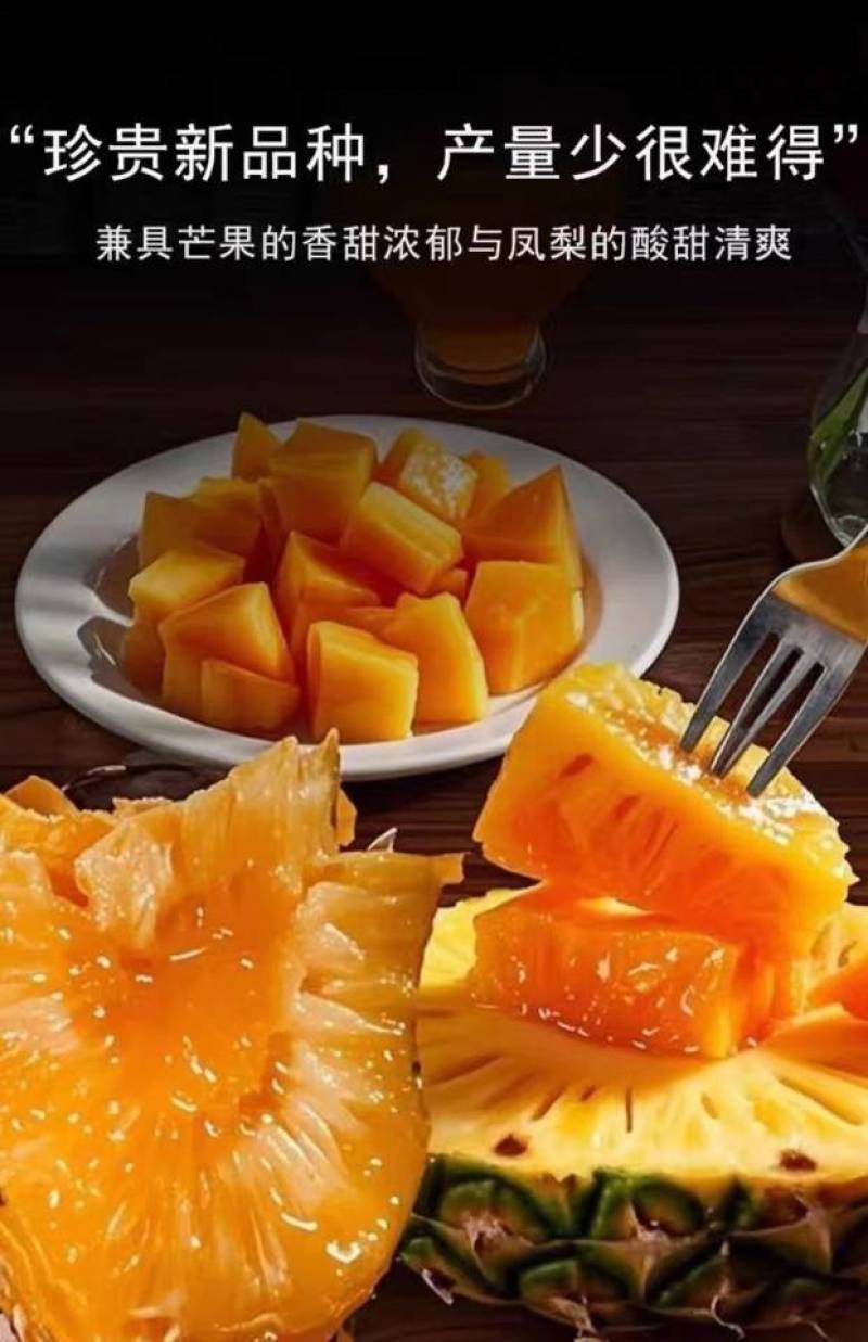 海南芒果凤梨一件代发产地直发一手货源对接各大电商平台