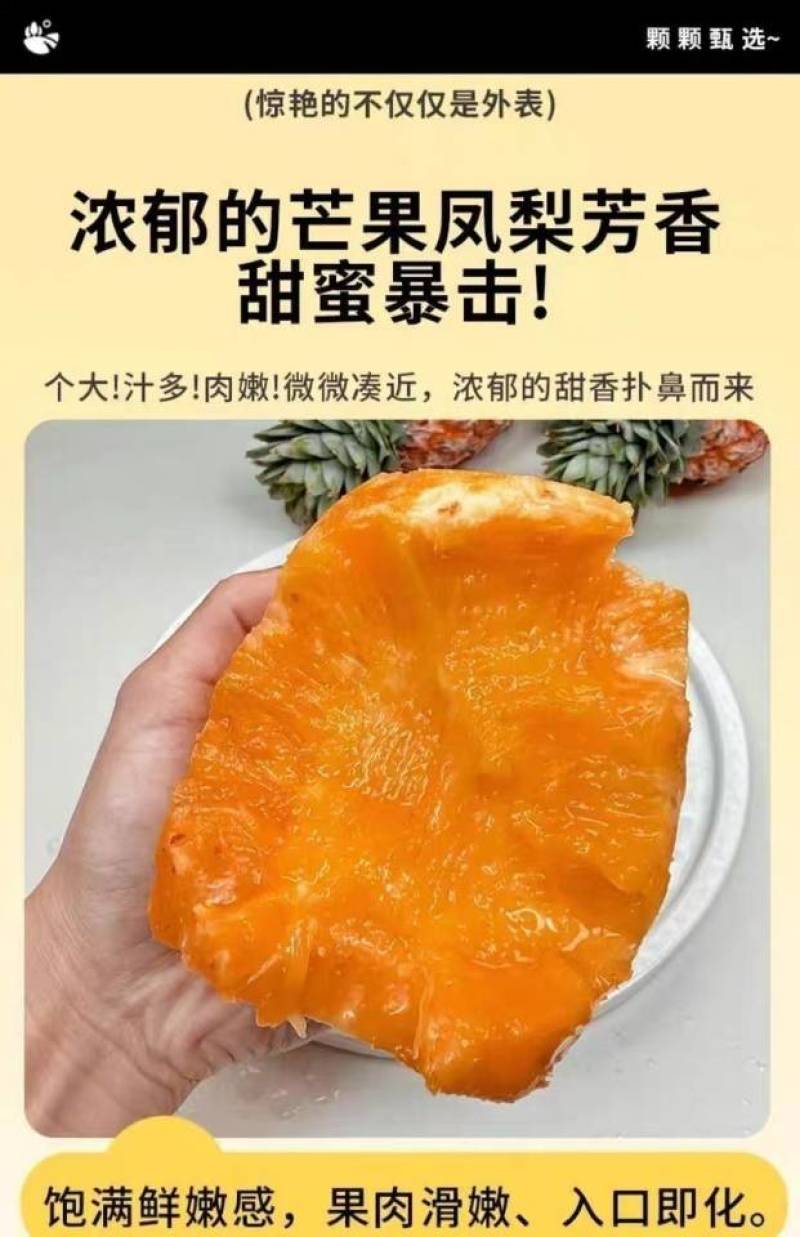 海南芒果凤梨一件代发产地直发一手货源对接各大电商平台