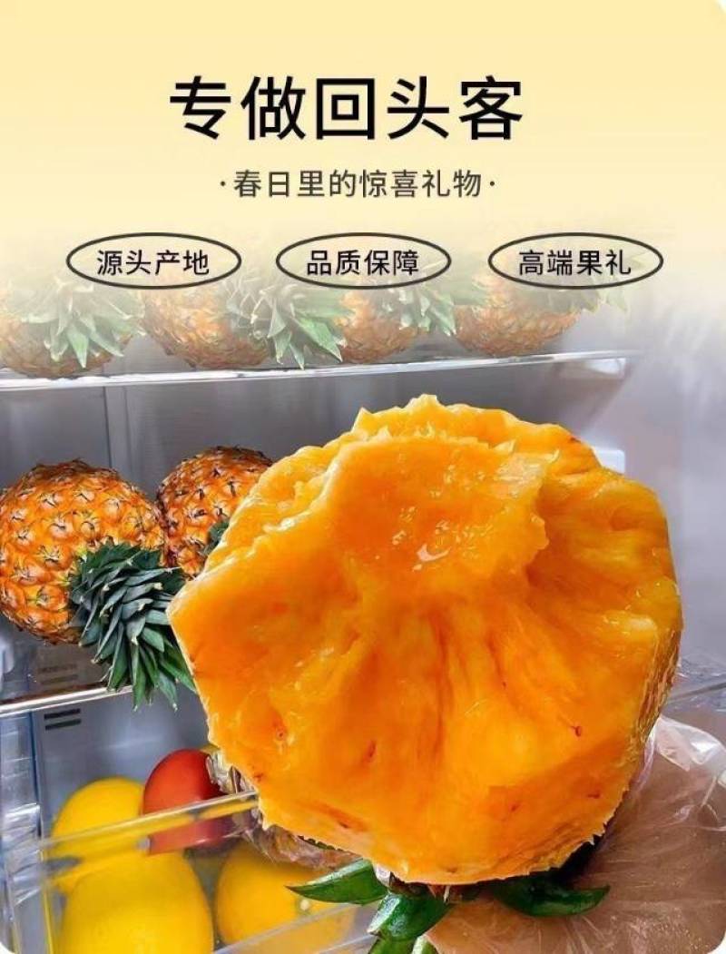 海南芒果凤梨一件代发产地直发一手货源对接各大电商平台