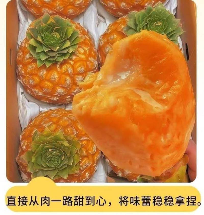 海南芒果凤梨一件代发产地直发一手货源对接各大电商平台
