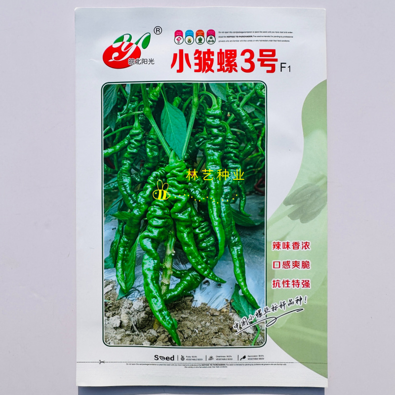 小皱螺3号早熟杂交一代螺丝椒种子辣味香浓口感爽脆抗性强