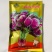 金品花红苋菜种子早熟耐热耐旱鲜红糯米苋菜种子圆叶苋菜