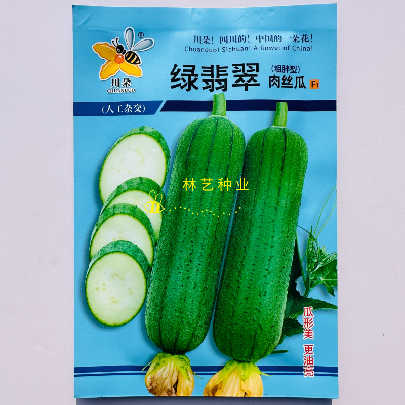 绿翡翠丝瓜种子杂交短棒型硬度好耐运输大田肉丝瓜品种