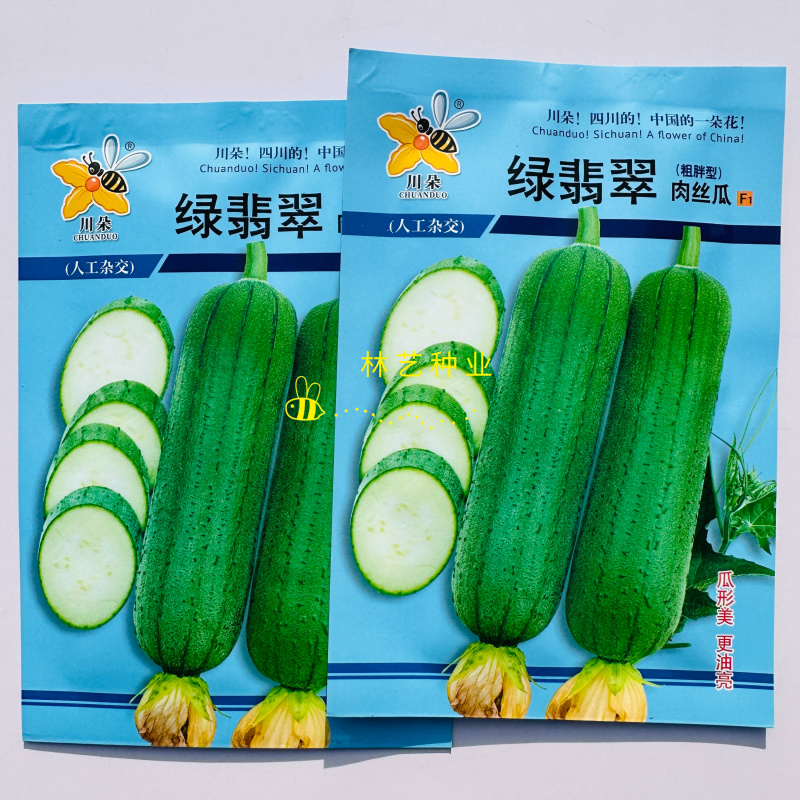 绿翡翠丝瓜种子杂交短棒型硬度好耐运输大田肉丝瓜品种