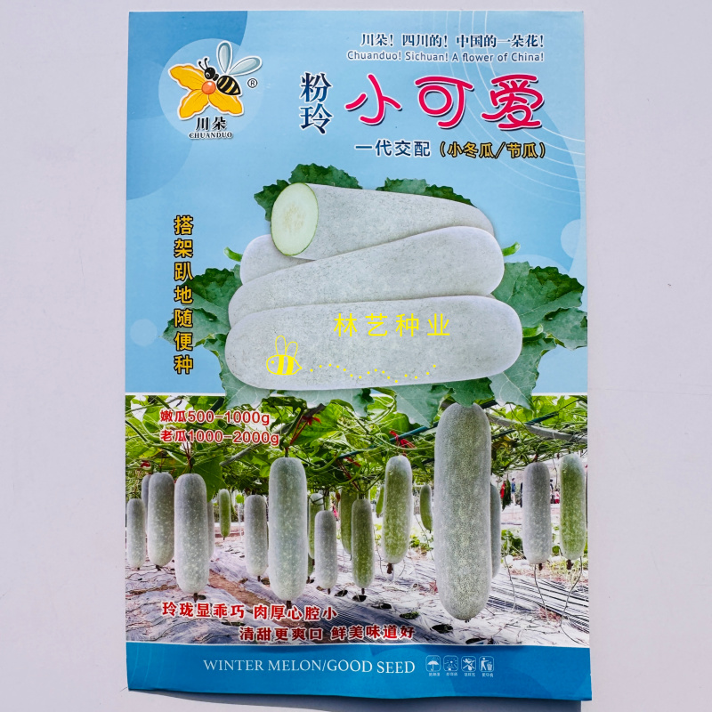 粉玲小可爱小冬瓜懒人种植冬瓜不搭架冬搭架冬瓜种