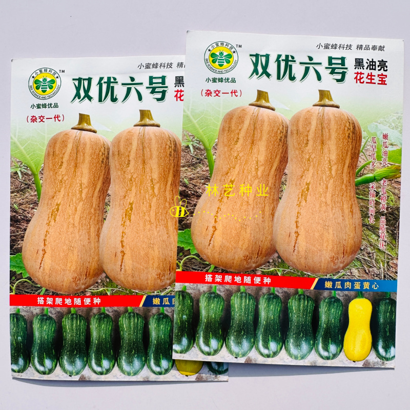 双优六号南瓜种子早熟大果南瓜粉糯甜蜜双优品质口感优良春秋