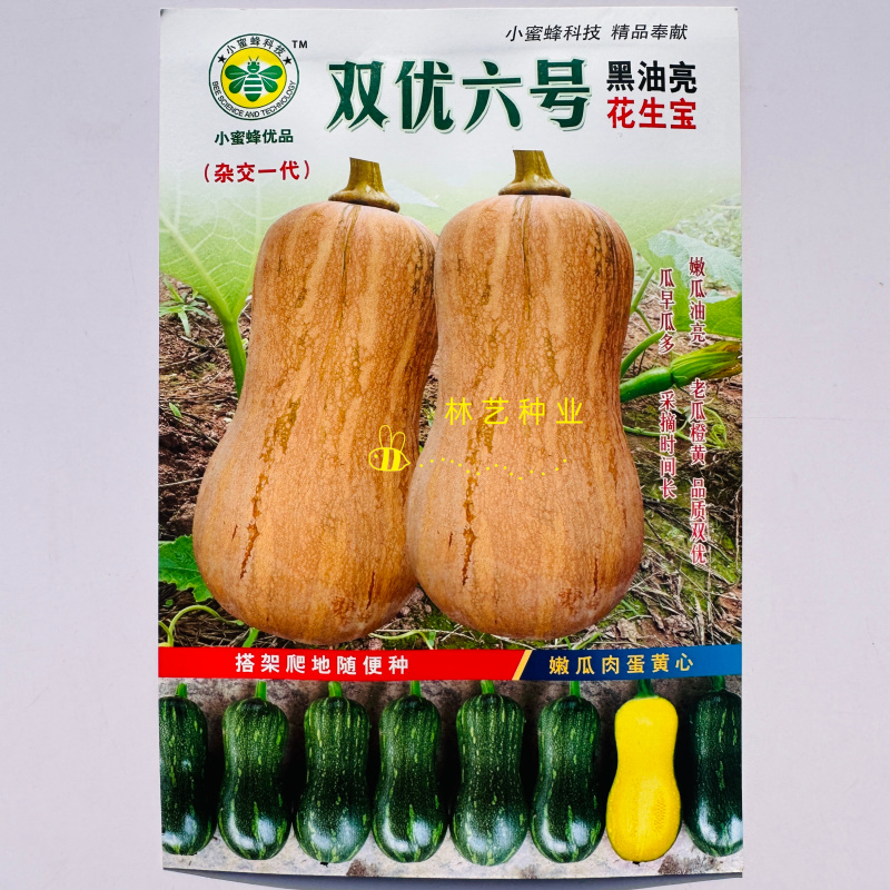 双优六号南瓜种子早熟大果南瓜粉糯甜蜜双优品质口感优良春秋