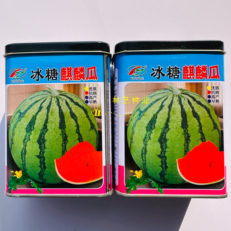 科益冰糖麒麟瓜种子早熟一代杂交鲜红瓤肉质脆甜度高口感清脆