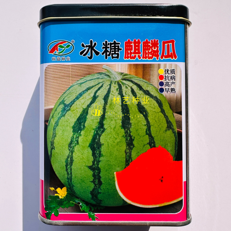 科益冰糖麒麟瓜种子早熟一代杂交鲜红瓤肉质脆甜度高口感清脆