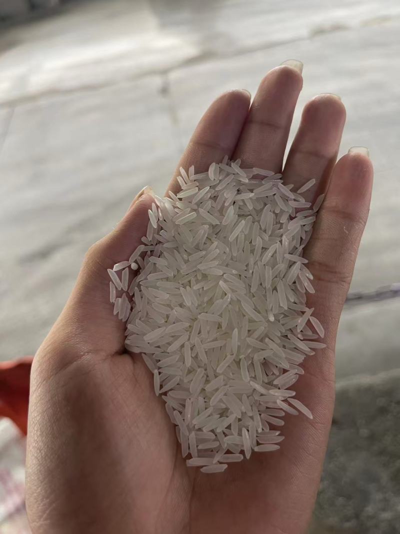 ST25越南香米