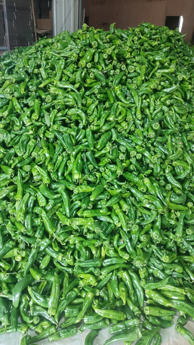 泡椒，黄皮椒