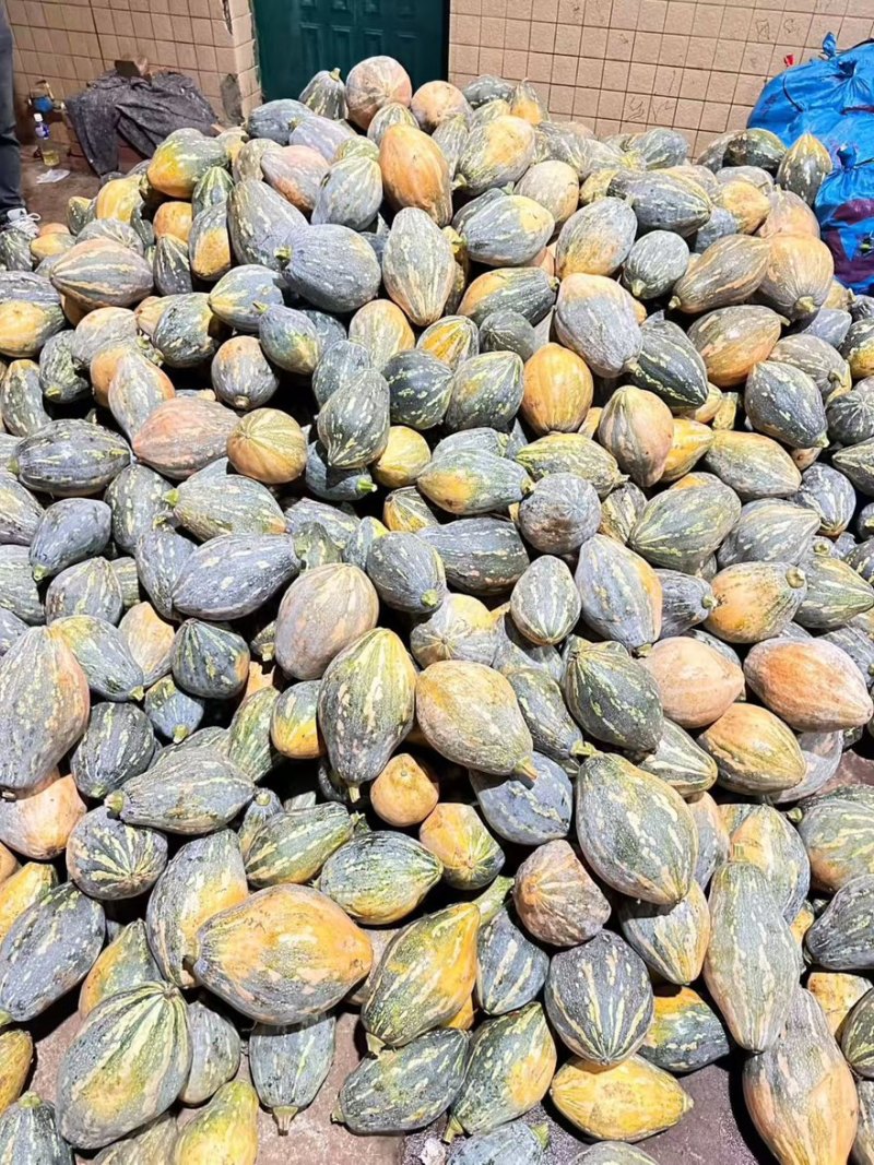 密本南瓜香芋南瓜贝贝南瓜产地一手货源直供可视频