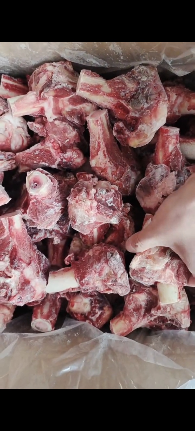 羊棒骨，国产多肉羊棒骨，多肉羊棒骨，根根漏骨髓，带肉多