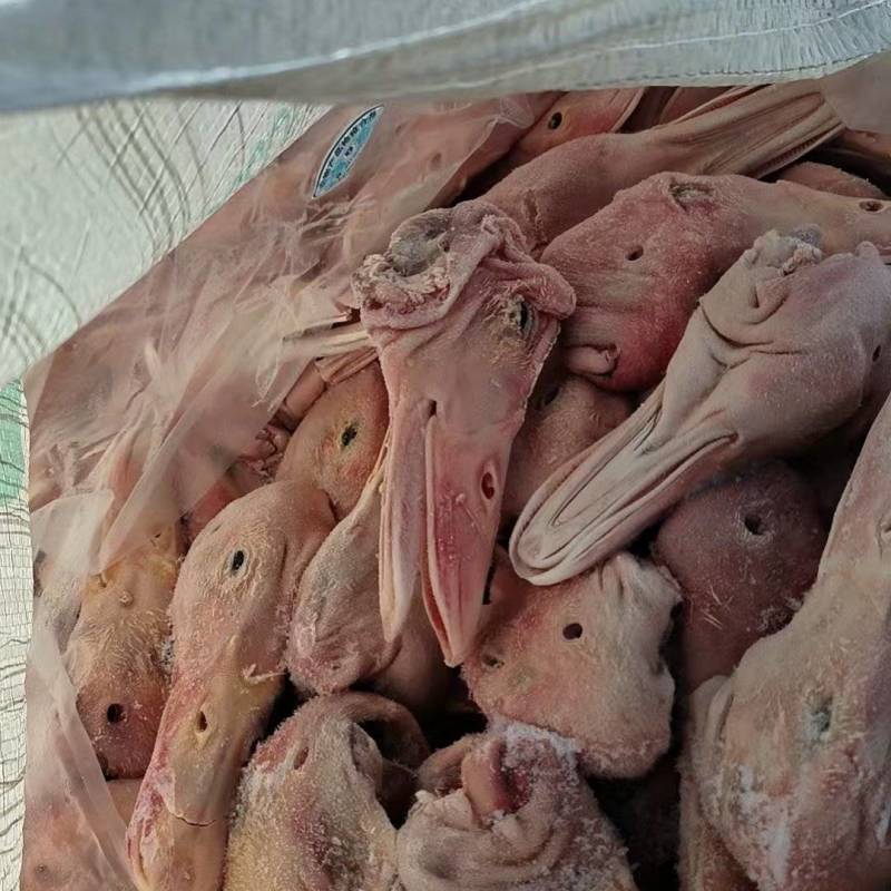 大板鸭头