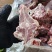 内蒙羊蝎子带肉率高颜色新鲜