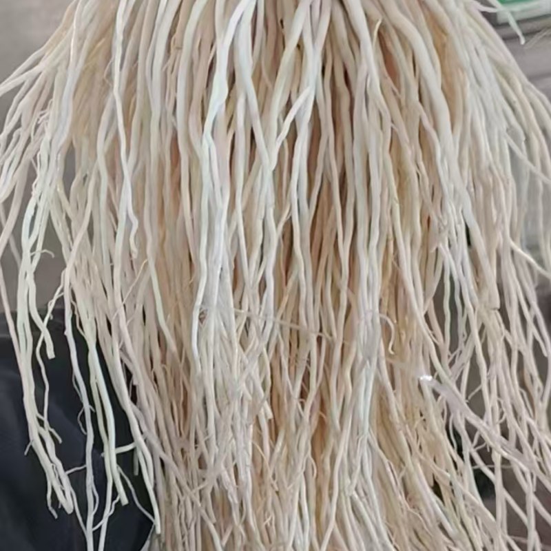 韭菜根