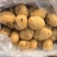广西沃土加新土豆大量上市价格便宜，质量保证一条龙服务
