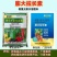 黄瓜辣椒豆角拉直膨大植物调节拉直作物拉长膨大素