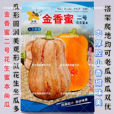 金香蜜二号花生蜜本南瓜种子果肉细腻粉甜适中小南瓜种子