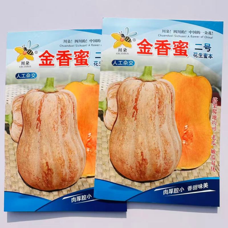 金香蜜二号花生蜜本南瓜种子果肉细腻粉甜适中小南瓜种子