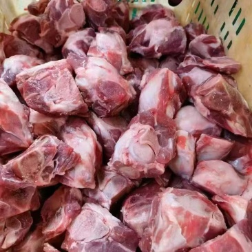 多肉羊关节骨