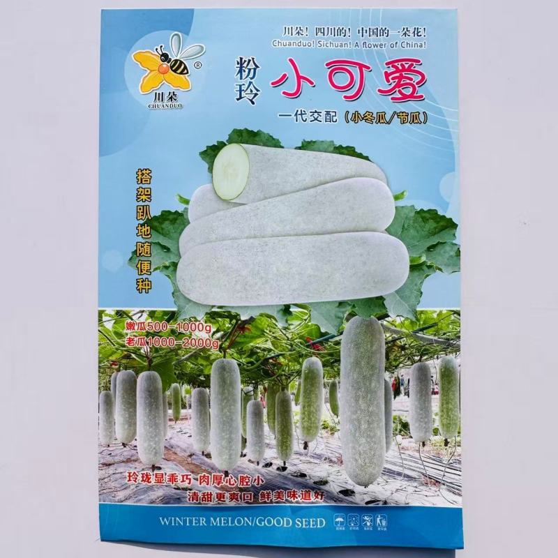 粉玲小可爱冬瓜种子瓜短筒形节瓜种子肉厚么腔小清甜小冬瓜种