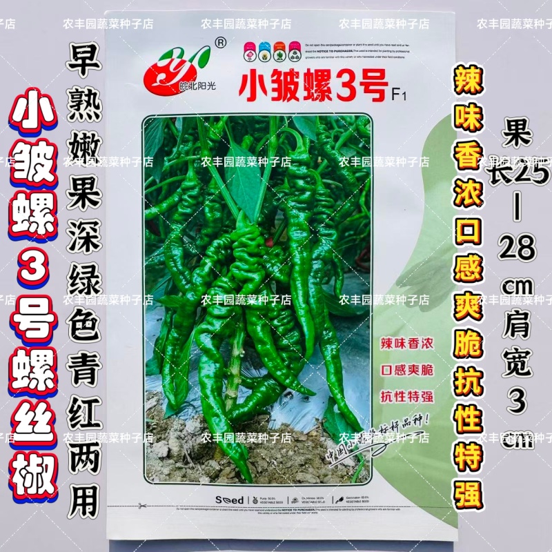 小皱螺3号辣椒种子早熟螺丝椒皮薄辣味香浓深绿皮表面有皱抗