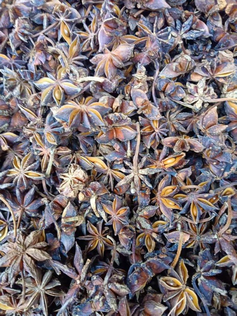 新广西大红八角纯片足干无硫，适合食品加工或打粉