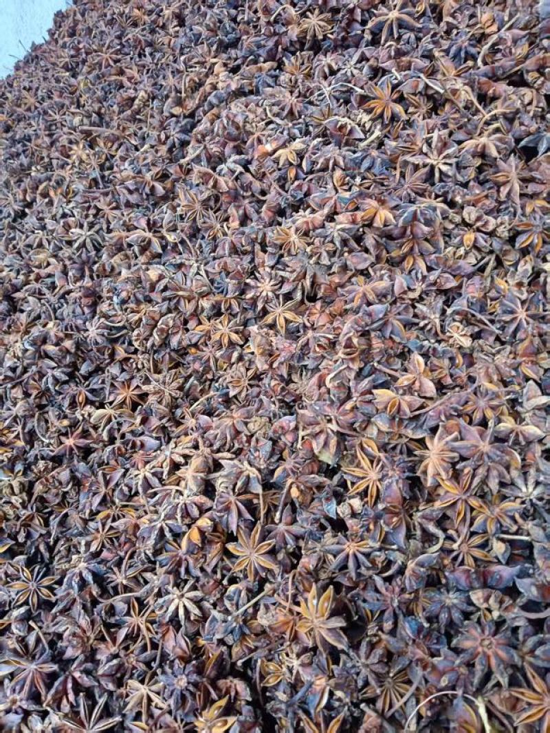 新广西大红八角纯片足干无硫，适合食品加工或打粉