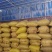 新广西大红八角纯片足干无硫，适合食品加工或打粉