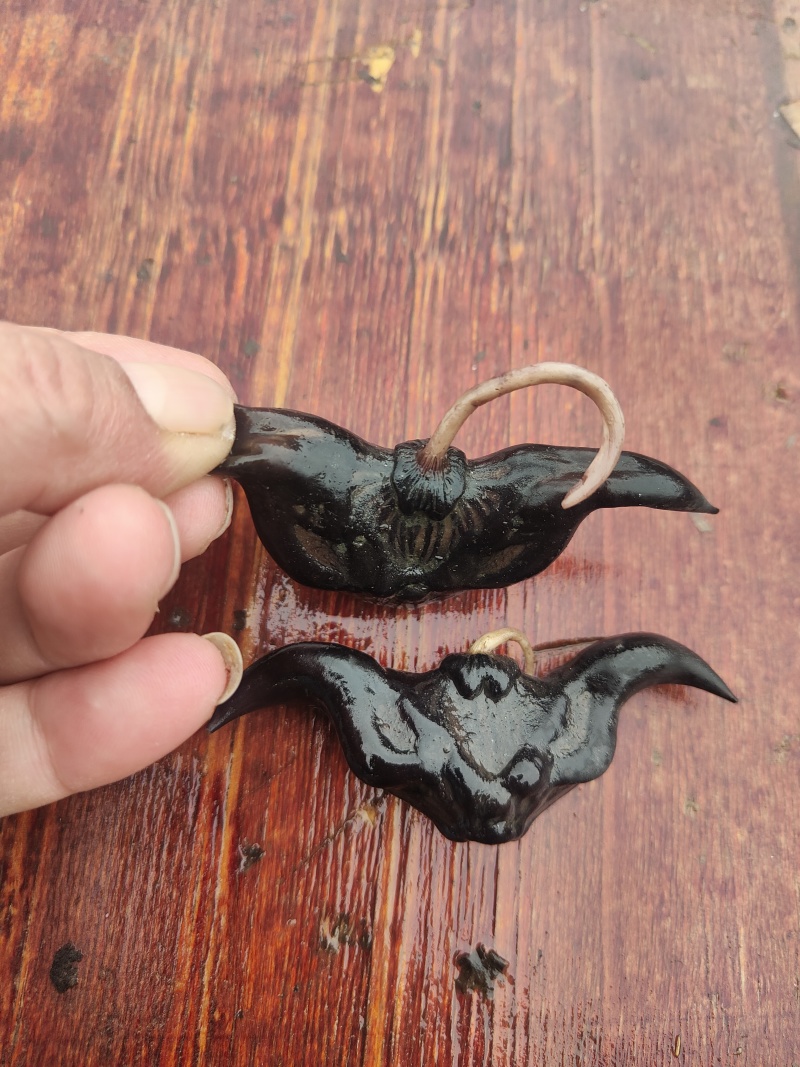 水果菱角，一手货源保质保优