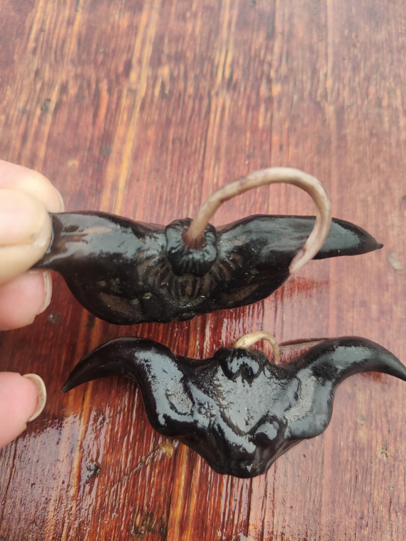 水果菱角，一手货源保质保优