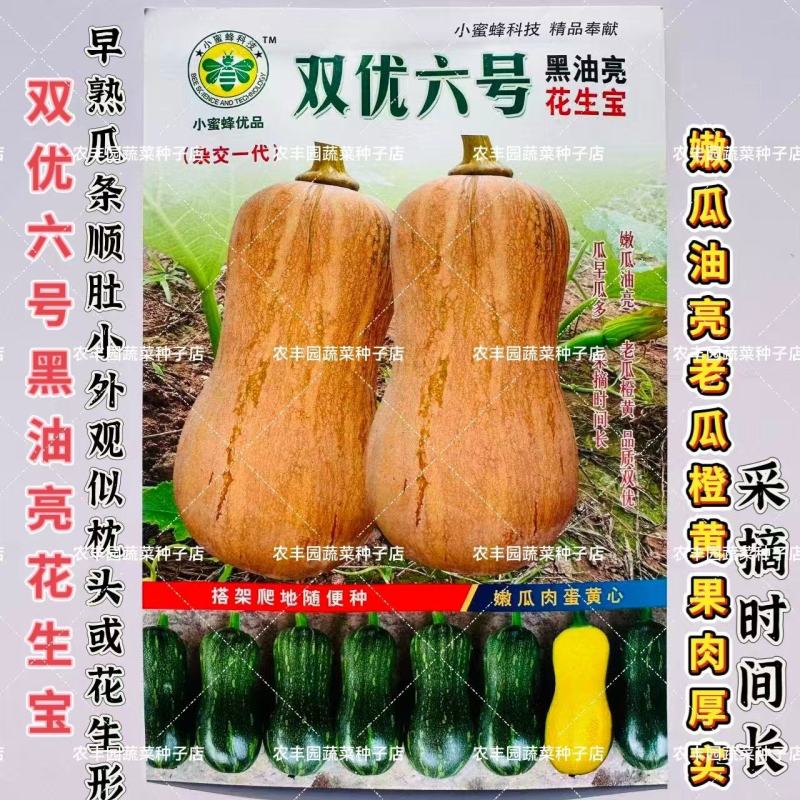 双优六号黑油亮花生宝南瓜种子早熟杂交抗病肉厚味甘甜面南瓜