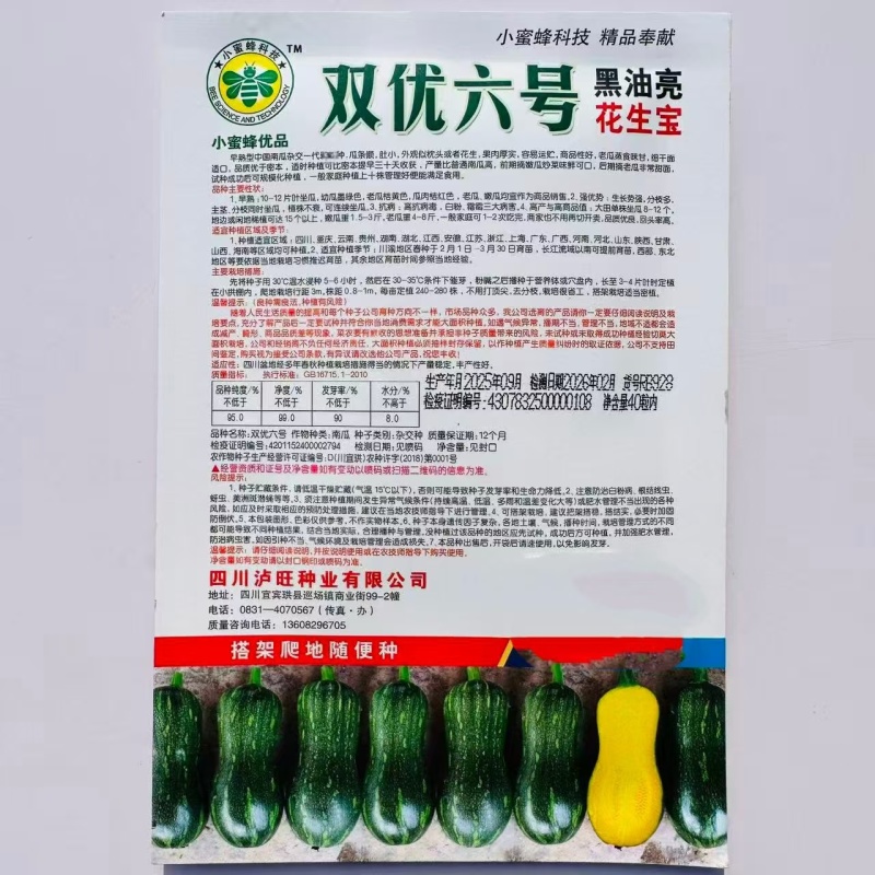 双优六号黑油亮花生宝南瓜种子早熟杂交抗病肉厚味甘甜面南瓜