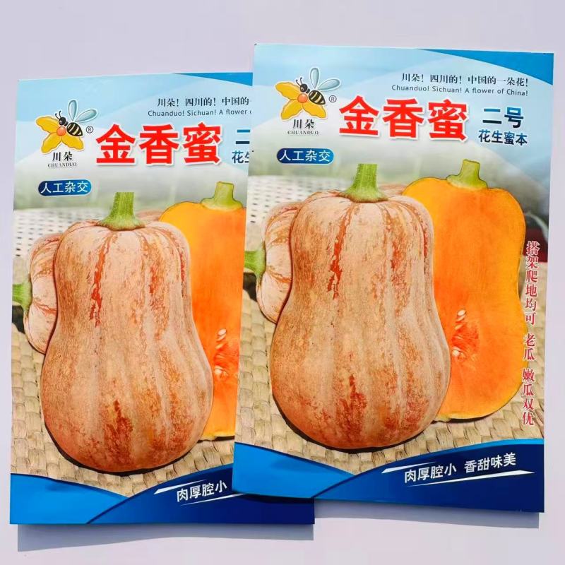 金香蜜二号花生蜜本南瓜种子果肉细腻粉甜适中小南瓜种子