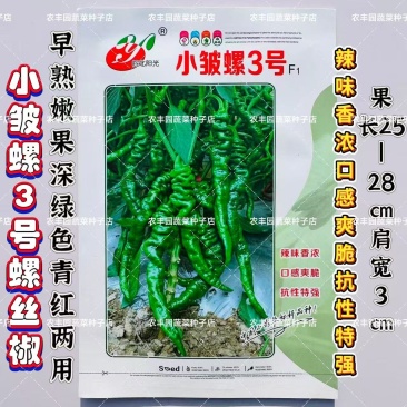 小皱螺3号辣椒种子早熟螺丝椒皮薄辣味香浓深绿皮表面有皱抗