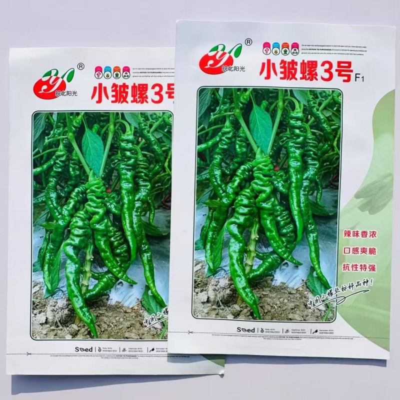 小皱螺3号辣椒种子早熟螺丝椒皮薄辣味香浓深绿皮表面有皱抗
