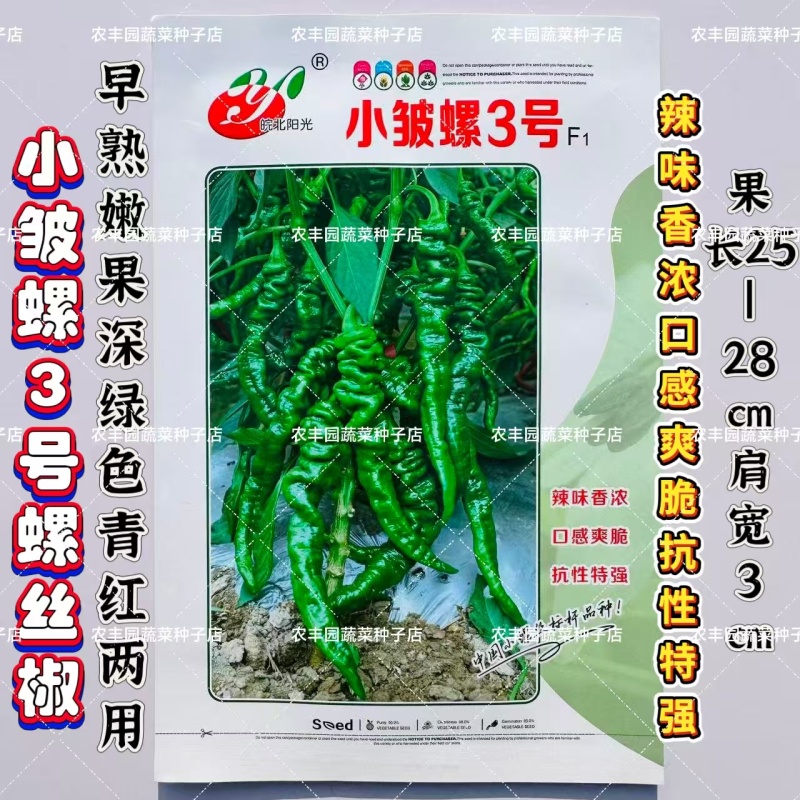 小皱螺3号辣椒种子早熟螺丝椒皮薄辣味香浓深绿皮表面有皱抗