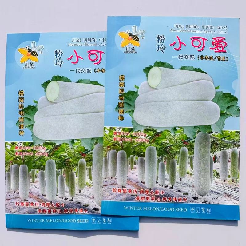 粉玲小可爱冬瓜种子瓜短筒形节瓜种子肉厚么腔小清甜小冬瓜种