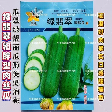 绿翡翠肉丝瓜种子翠绿靓丽油亮丝瓜种子口感甜糯香丝瓜种子